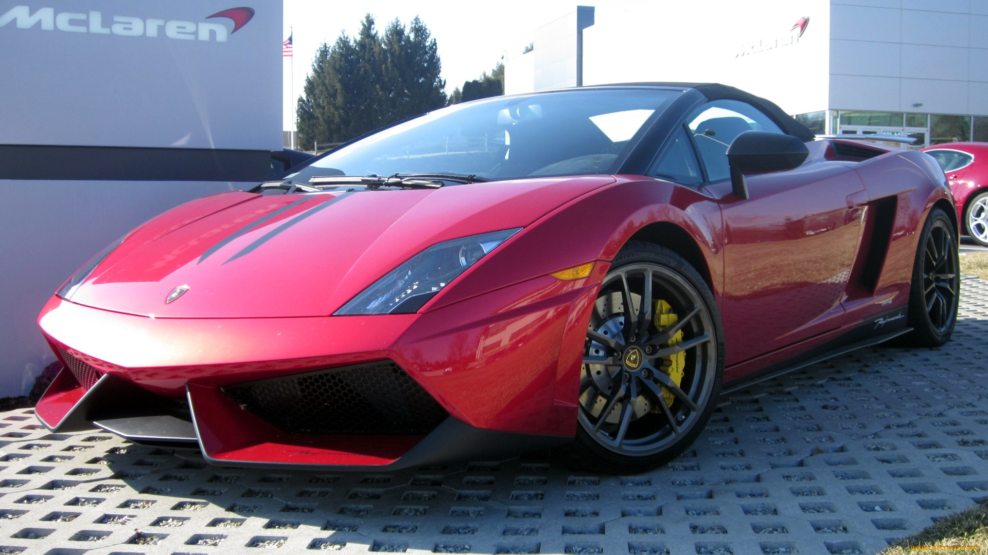 lamborghini, gallardo, , , , , automobili, s, p, a, , 